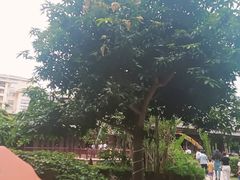 -三亚亚龙湾红树林度假酒店