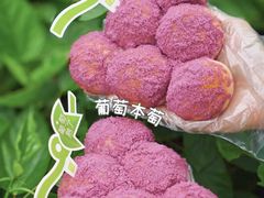 -奈雪的茶(凯德新都心店)