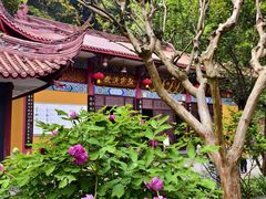 -都江堰普照寺
