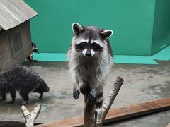 -成都欢乐谷