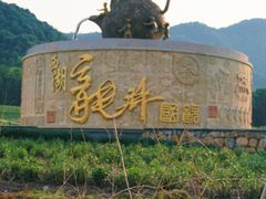 -龙坞茶村