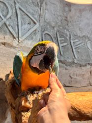 -Zoolung Zoolung动物主题公园(海信广场店)