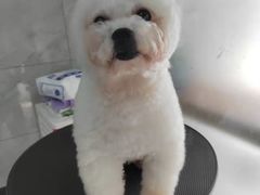 -佳雯宠物医院(四明中路分院)