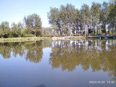 -东郊湿地公园