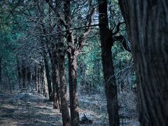 -龙洞风景区-藏龙涧