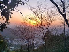 -惠山国家森林公园