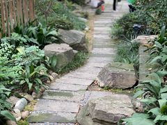 -成都市活水公园