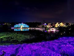 -大塘金香草谷