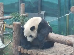 -大连森林动物园