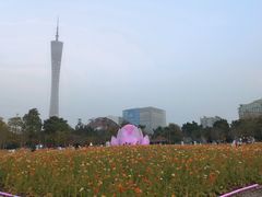 -二沙岛艺术公园