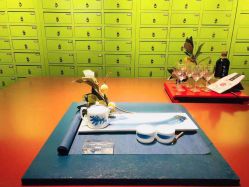 -奈瑞儿美颜美养SPA