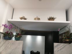 点击看大图 -Garden花園造型