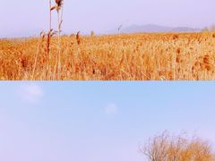 -西山风景区