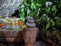 -丽晶大班SPA(大沽店)