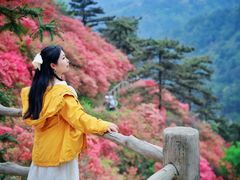 -木兰云雾山