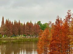 -白鹭湾湿地公园