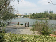 android_upload_pic-紫薇公园