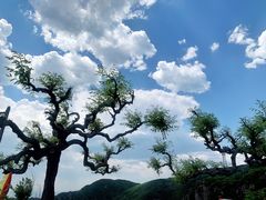 -妙峰山风景名胜区