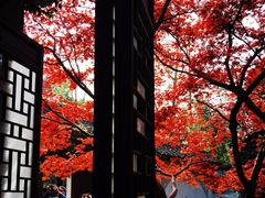 -惠山古镇·寄畅园