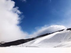 -密苑云顶乐园