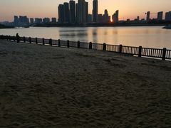 -五缘湾湿地公园