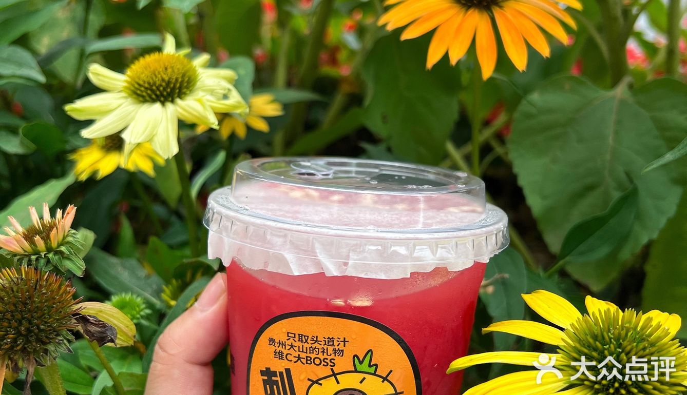 品牌升级又上新，6月书亦太火🔥爆