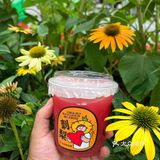 品牌升级又上新，6月书亦太火🔥爆