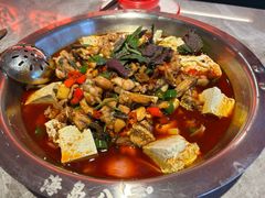 青椒紫苏牛蛙-海岛八号龙虾烧烤田鸡(蓝天路总店)