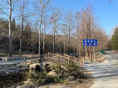 -白水寺森林公园