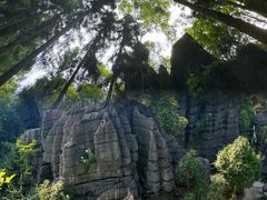 -梭布垭石林景区