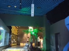 -太平洋海底世界