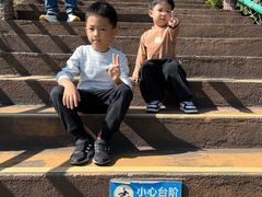-广东惠东海龟国家级自然保护区