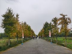 -汉景帝阳陵博物院