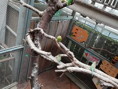 -正佳雨林生态植物园