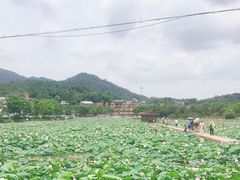 -红山村