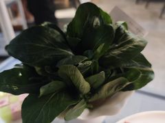 -喜聚薈·花膠雞海鮮火鍋(越秀店)
