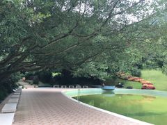 -雁南飞茶田景区
