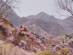 -居庸关长城