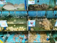 -范饭椰林川湘味海鲜·椰子鸡(三亚湾椰梦长廊店)