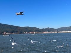 -滇池海埂公园
