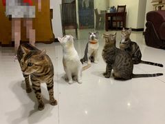 -农汤老店(顺联公园里店)