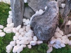 -马家斑.鲜鱼火锅(松湖万科店)