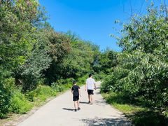 -鬼笑石后山停车场
