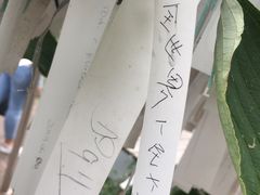-和平宫