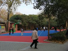 -西安市长乐公园