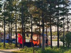 -春花秋色城市公园