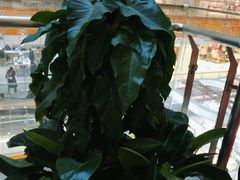 -北京华联购物中心(天通苑店)