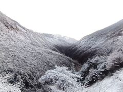 -辣来卤起(财信·北岸江山北区店)