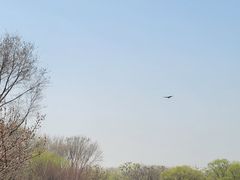 -北京麋鹿生态实验中心