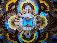 -上海昆虫博物馆